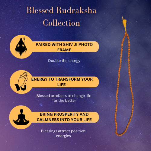 BLESSED RUDRAKSHA COLLECTION